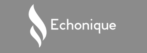 echo logo